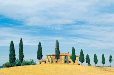 Golden Hillside, Tuscany, Italy.jpg